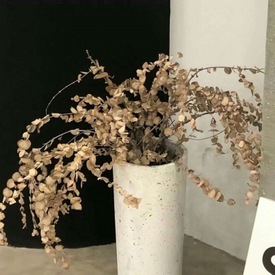 兽设城市场景创作兽圈社群